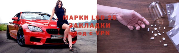 PSILOCYBIN Михайлов