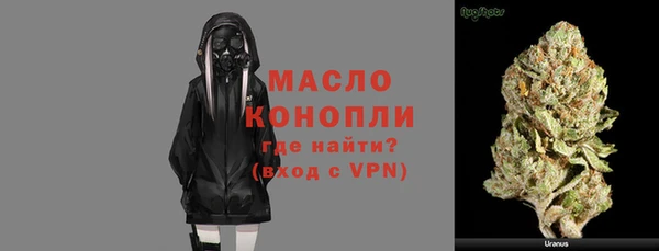 молекула духа Сясьстрой