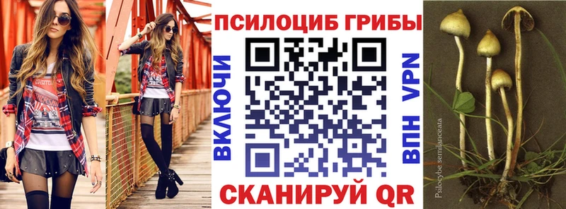 Галлюциногенные грибы Psilocybe  Сосенский 